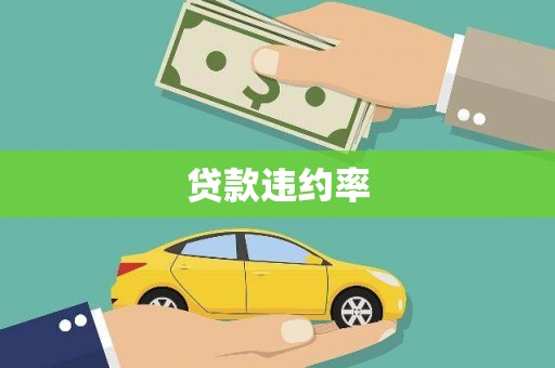 隆回贷款违约率