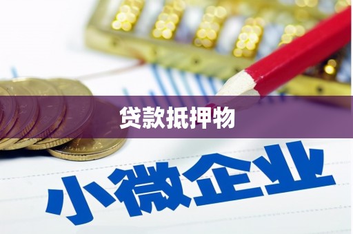 隆回贷款抵押物