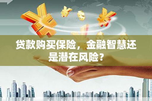 隆回贷款购买保险，金融智慧还是潜在风险？