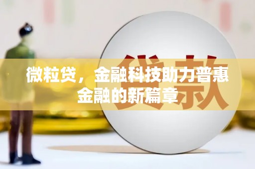 隆回微粒贷，金融科技助力普惠金融的新篇章