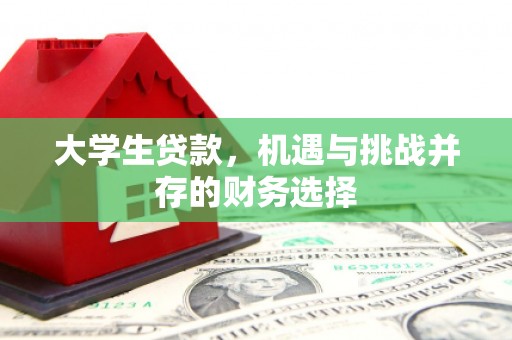 隆回大学生贷款，机遇与挑战并存的财务选择