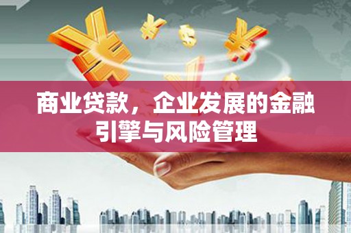 隆回商业贷款，企业发展的金融引擎与风险管理