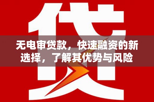 隆回无电审贷款，快速融资的新选择，了解其优势与风险