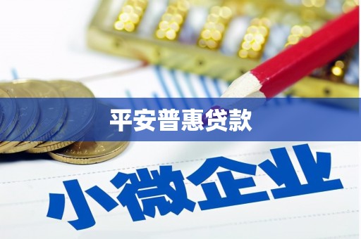 隆回平安普惠贷款