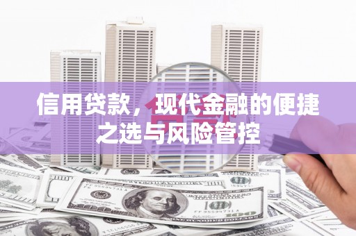 隆回信用贷款，现代金融的便捷之选与风险管控