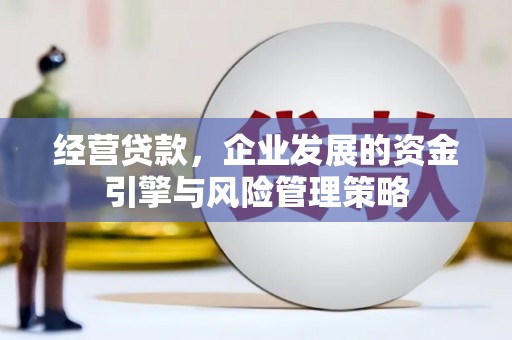 隆回经营贷款，企业发展的资金引擎与风险管理策略