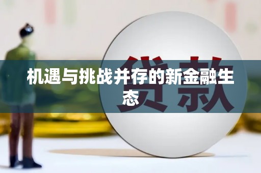 隆回机遇与挑战并存的新金融生态