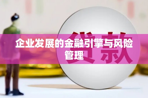 隆回企业发展的金融引擎与风险管理
