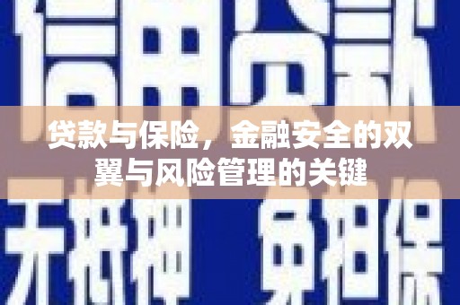隆回贷款与保险，金融安全的双翼与风险管理的关键