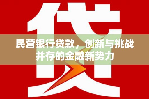 隆回民营银行贷款，创新与挑战并存的金融新势力