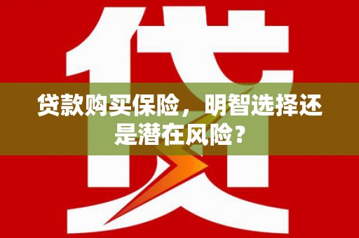 隆回贷款购买保险，明智选择还是潜在风险？