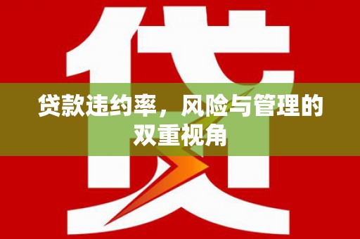 隆回贷款违约率，风险与管理的双重视角