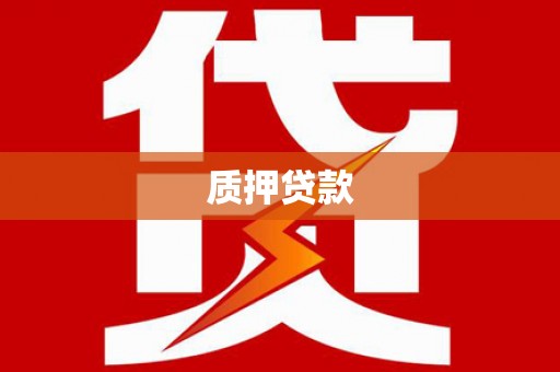隆回质押贷款