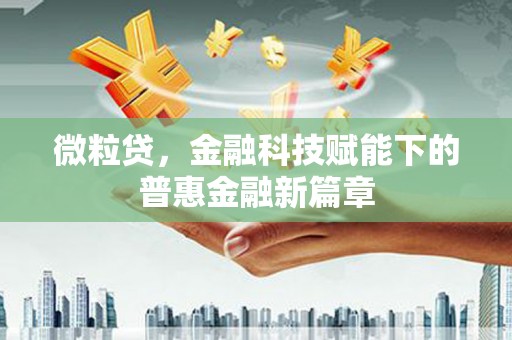 隆回微粒贷，金融科技赋能下的普惠金融新篇章