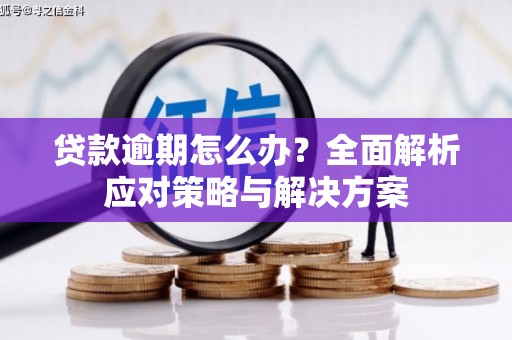 隆回贷款逾期怎么办？全面解析应对策略与解决方案