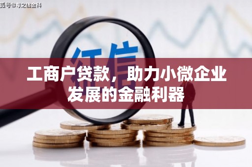 隆回工商户贷款，助力小微企业发展的金融利器