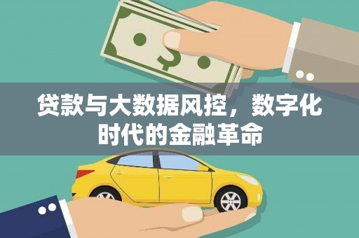 隆回贷款与大数据风控，数字化时代的金融革命