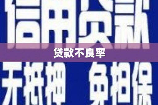 隆回贷款不良率