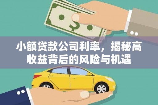 隆回小额贷款公司利率，揭秘高收益背后的风险与机遇