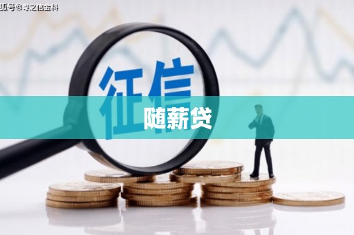 隆回随薪贷