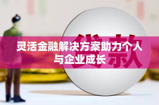 隆回灵活金融解决方案助力个人与企业成长