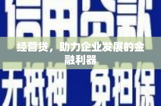 隆回经营贷，助力企业发展的金融利器