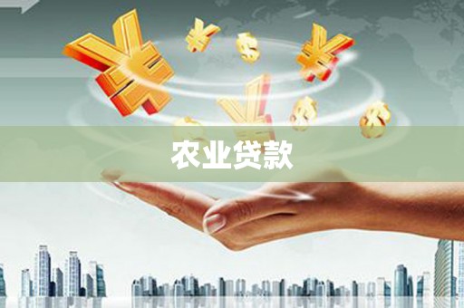 隆回农业贷款