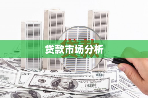 隆回贷款市场分析
