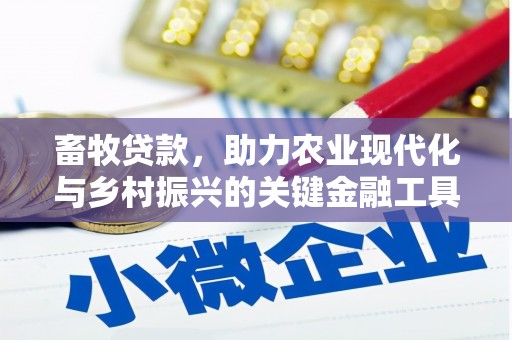 隆回畜牧贷款，助力农业现代化与乡村振兴的关键金融工具