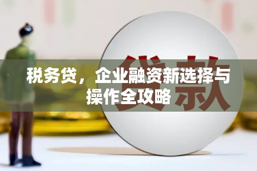 隆回税务贷，企业融资新选择与操作全攻略