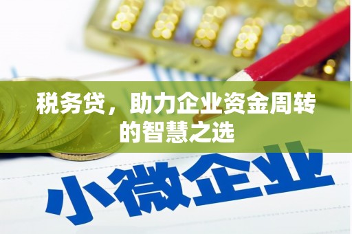 隆回税务贷，助力企业资金周转的智慧之选