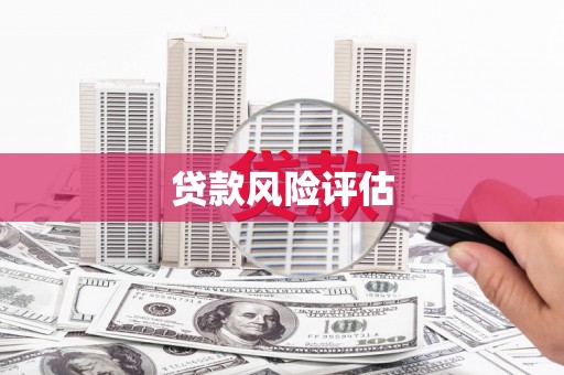 隆回贷款风险评估