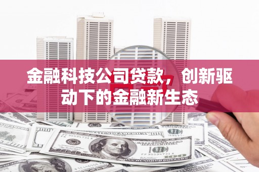 隆回金融科技公司贷款，创新驱动下的金融新生态