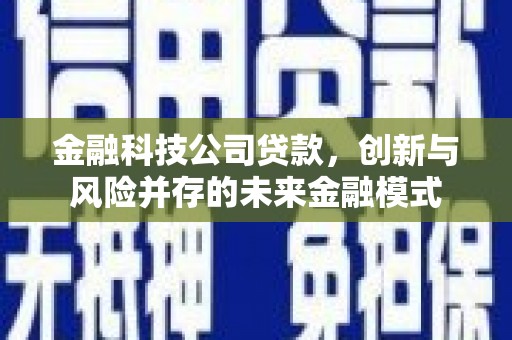 隆回金融科技公司贷款，创新与风险并存的未来金融模式