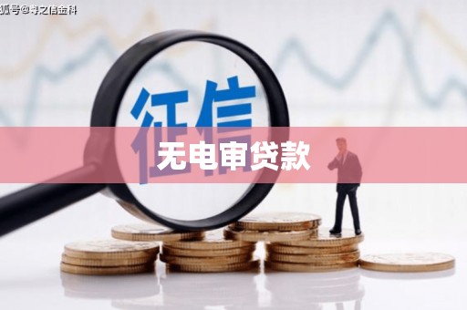 隆回无电审贷款