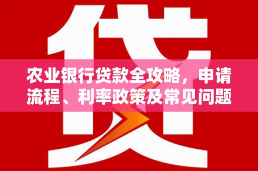 隆回农业银行贷款全攻略，申请流程、利率政策及常见问题解析