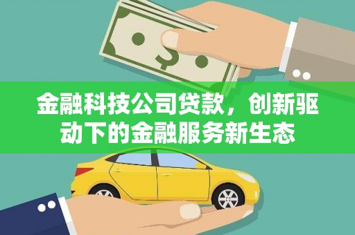 隆回金融科技公司贷款，创新驱动下的金融服务新生态