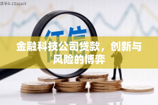 隆回金融科技公司贷款，创新与风险的博弈