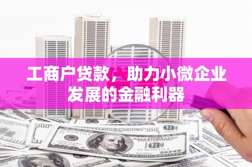 隆回工商户贷款，助力小微企业发展的金融利器