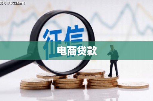 隆回电商贷款