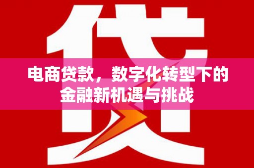 隆回电商贷款，数字化转型下的金融新机遇与挑战
