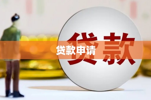 隆回贷款申请