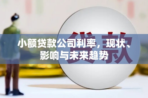 隆回小额贷款公司利率，现状、影响与未来趋势