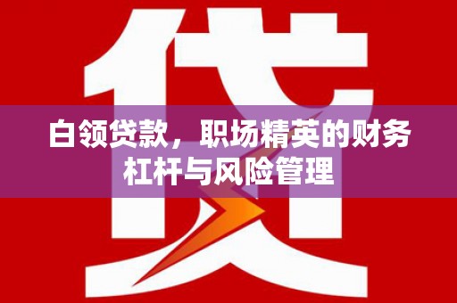 隆回白领贷款，职场精英的财务杠杆与风险管理