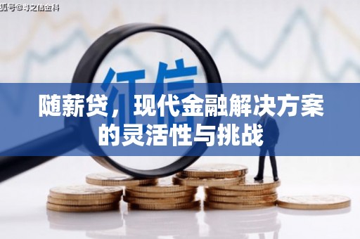 隆回随薪贷，现代金融解决方案的灵活性与挑战