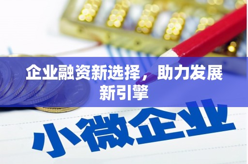 隆回企业融资新选择，助力发展新引擎