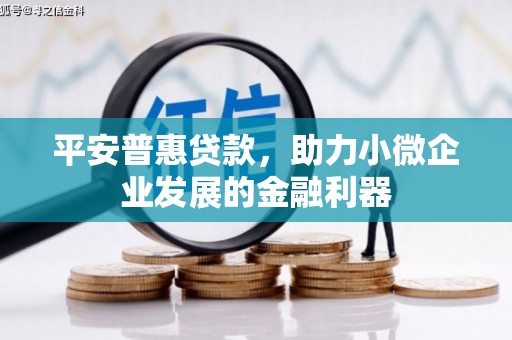 隆回平安普惠贷款，助力小微企业发展的金融利器