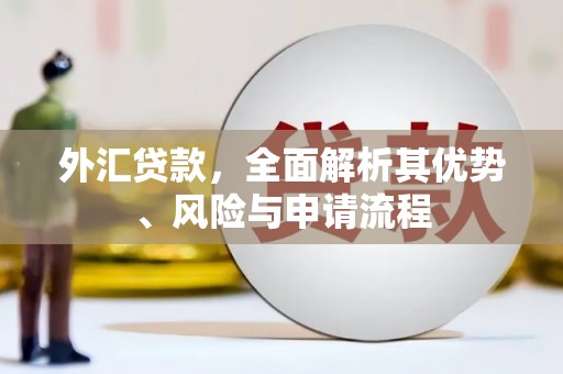 隆回外汇贷款，全面解析其优势、风险与申请流程