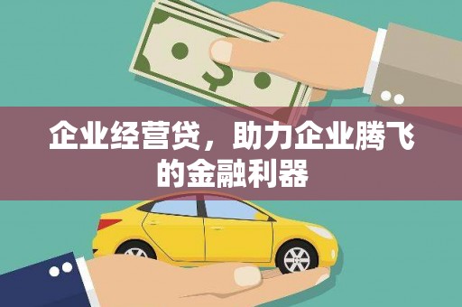 隆回企业经营贷，助力企业腾飞的金融利器