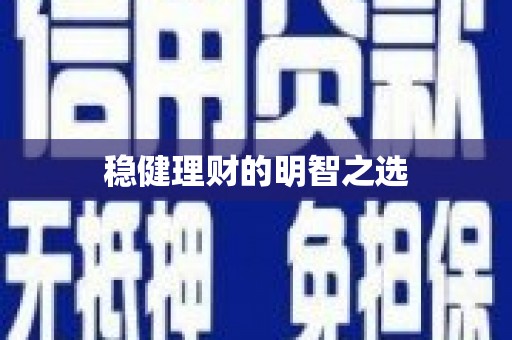 隆回稳健理财的明智之选